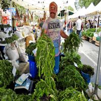 "Alaçatı Ot Festivali Ege festivali gibi olmaya başladı"