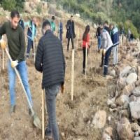 Bornova’ya yeni Misket Üzümü Bağı