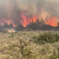 İzmir'de iki ilçede çıkan yangın korkuttu