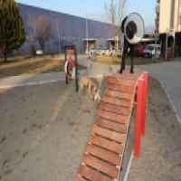 Gaziemir’de köpeklere özel park açıldı