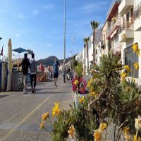 Hazırlıklar tamam: Foça yaza hazır