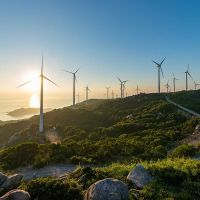 İzmir’in ormanlarına bir RES darbesi daha