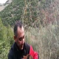 Kuyuya düşen köpek, itfaiye ekiplerince kurtarıldı