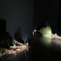 Manisa'da fırtına! Çatılar uçtu, ağaçlar devrildi