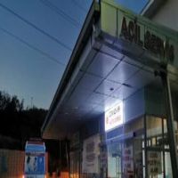 Tunceli'de yaban domuzunun saldırdığı köylü yaralandı