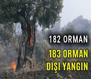 Ormancıya dur durak yok!