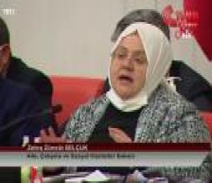 Zehra Zümrüt Selçuk, TBMM Genel Kurulu'nda Aile, Çalışma ve Sosyal Hizmetler Bakanlığının 2021 yılı bütçesi üzerinde konuştu: (1)