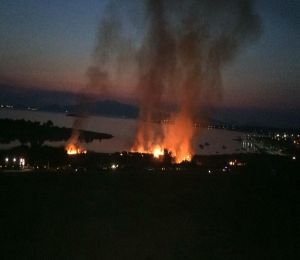 Aliağa’da sazlık alanda yangın