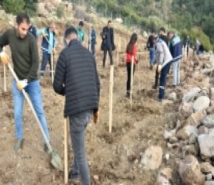 Bornova’ya yeni Misket Üzümü Bağı