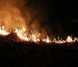 Son dakika haber! Eber Gölü'nün iki ayrı noktasında sazlık yangını çıktı