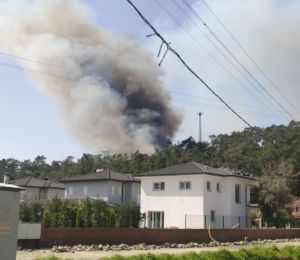 Fethiye'de yangın paniği!