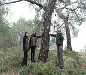 İzmir'in ormanları kadınlara emanet