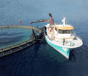 Tepkilere neden olmuştu: Balık çiftliği için kapasite artışı teklifi 