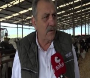 Tire Süt Kooperatifi Başkanı'ndan 'yem' uyarısı: Eğer hammaddeyi alamazsak...