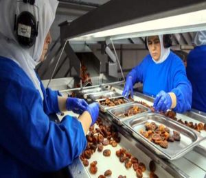 Türk firmaları koronavirüs salgınını fırsata çevirdi! Gıda ihracatı ilk 5 ayda yüzde 118 arttı