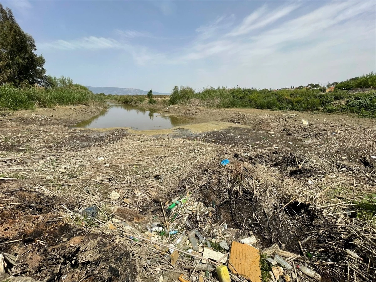 Büyük Menderes Nehri'nde Kuraklık: Sular Çekildi, Çöp ve Atıklar Birikti