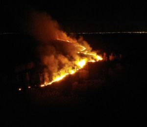Son dakika haberleri... Eber Gölü'nün suların çekildiği arazide yangın çıktı