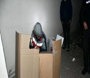 Aksaray'da kaçak göçmen karton koli içerisinde yatarken yakalandı