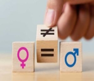Toplumsal cinsiyet eşitliğine yönelik projeler katılabiliyor