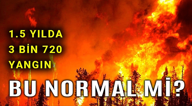 1.5 yılda tam 3 bin 720 orman yangını!
