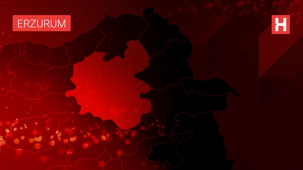 Son dakika haber... İzmir'deki kaçakçılık operasyonunda 575 parça tarihi eser ele geçirildi