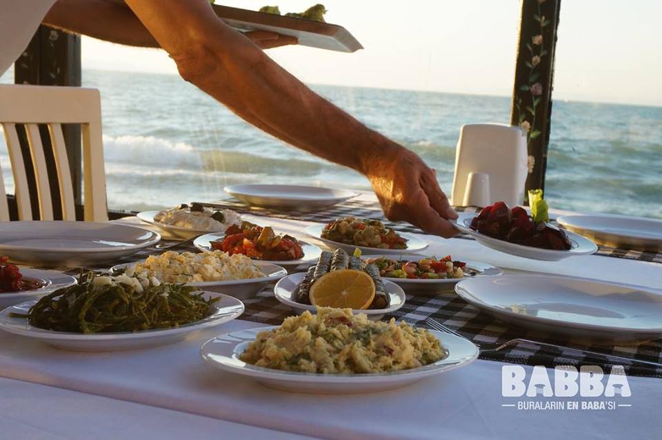 Babba Zeytinalanı Fotoğrafları