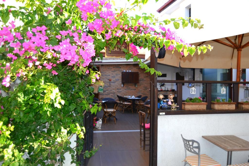 Mandalin Pansiyon/ Cafe Fotoğrafları