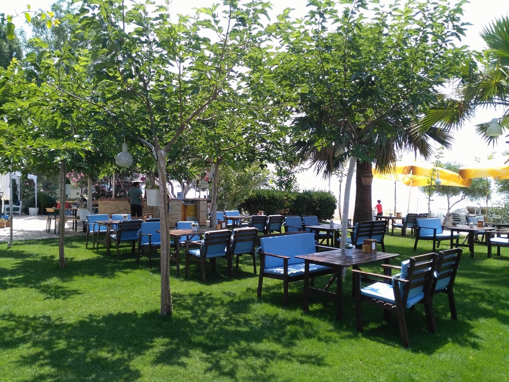 Palmiye Otel Fotoğrafları