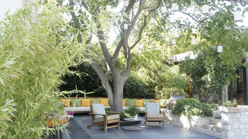 Alavya Otel Fotoğrafları