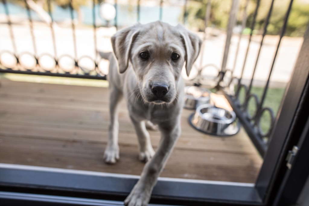 Maya Bistro Hotel Beach Fotoğrafları