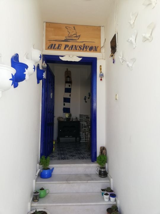 Ale Pansiyon Fotoğrafları