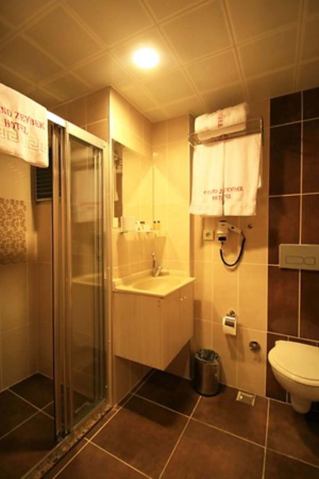 Grand Zeybek Otel Fotoğrafları