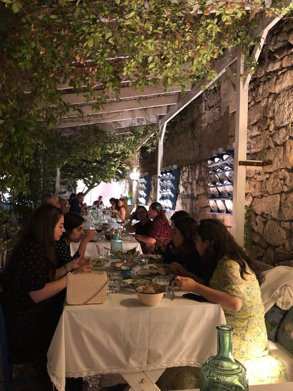 Asma Yaprağı Fotoğrafları