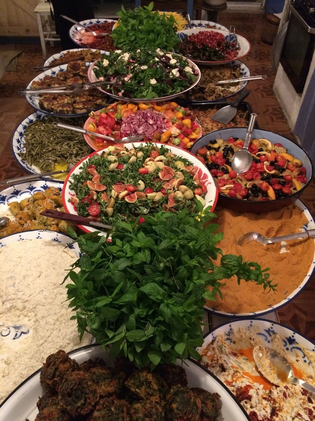 Asma Yaprağı Fotoğrafları