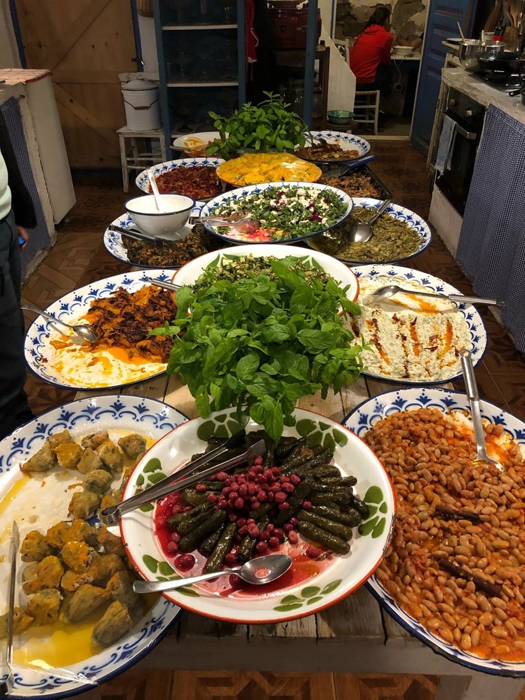 Asma Yaprağı Fotoğrafları
