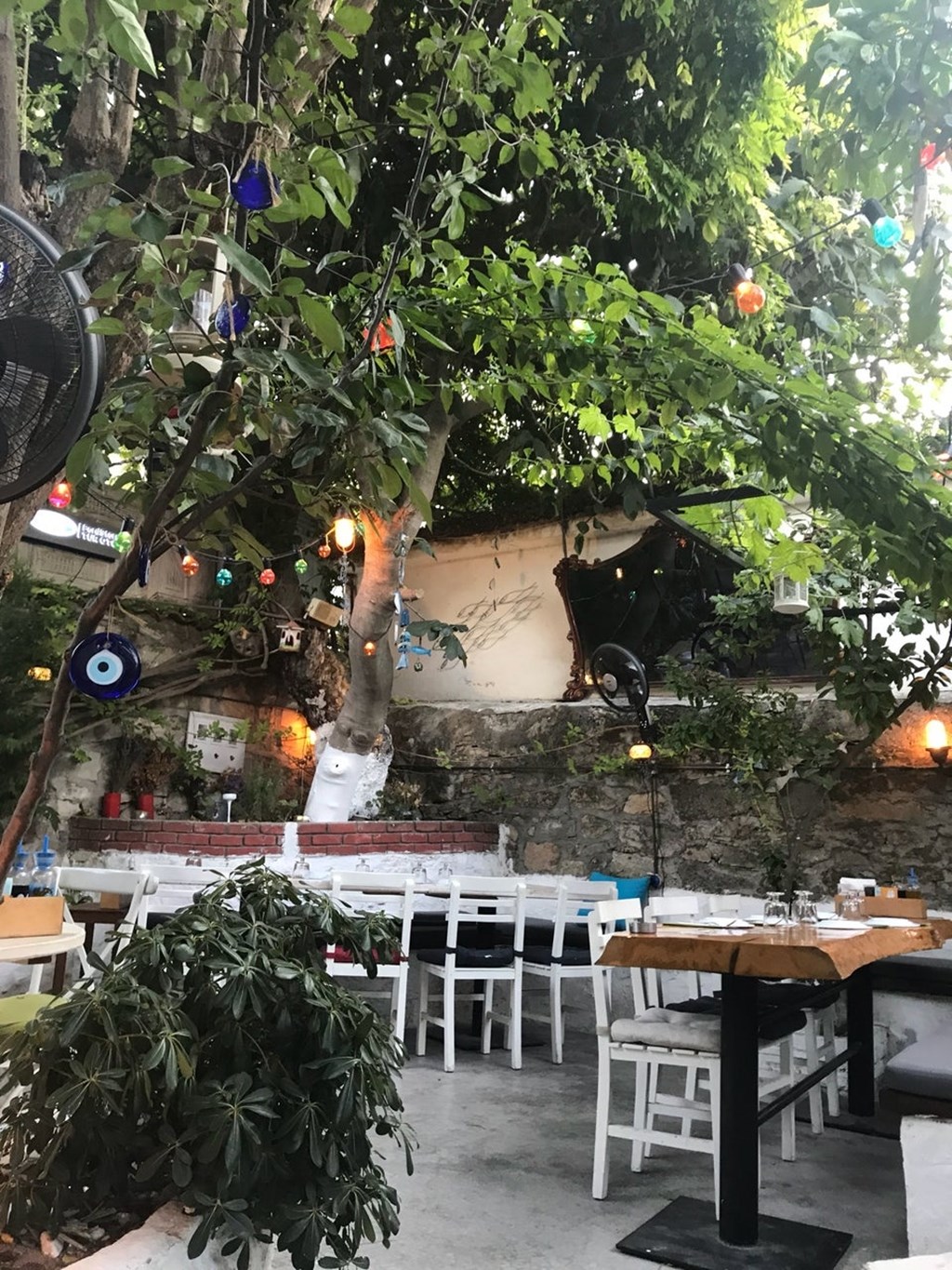 Horasan Balık Fotoğrafları