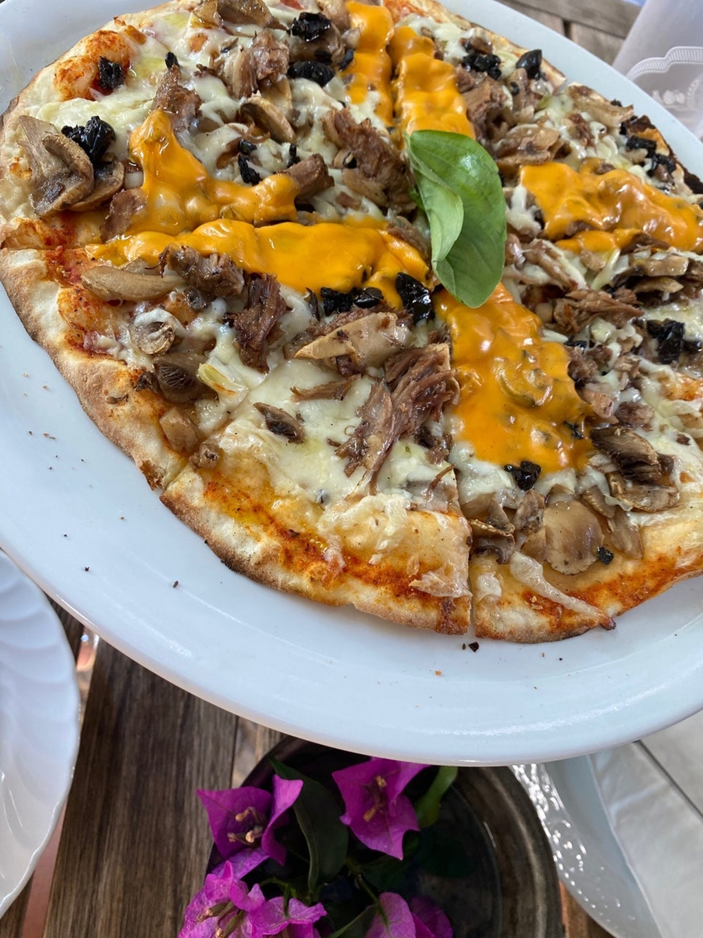 Kırmızı Ardıç Kuşu Fotoğrafları