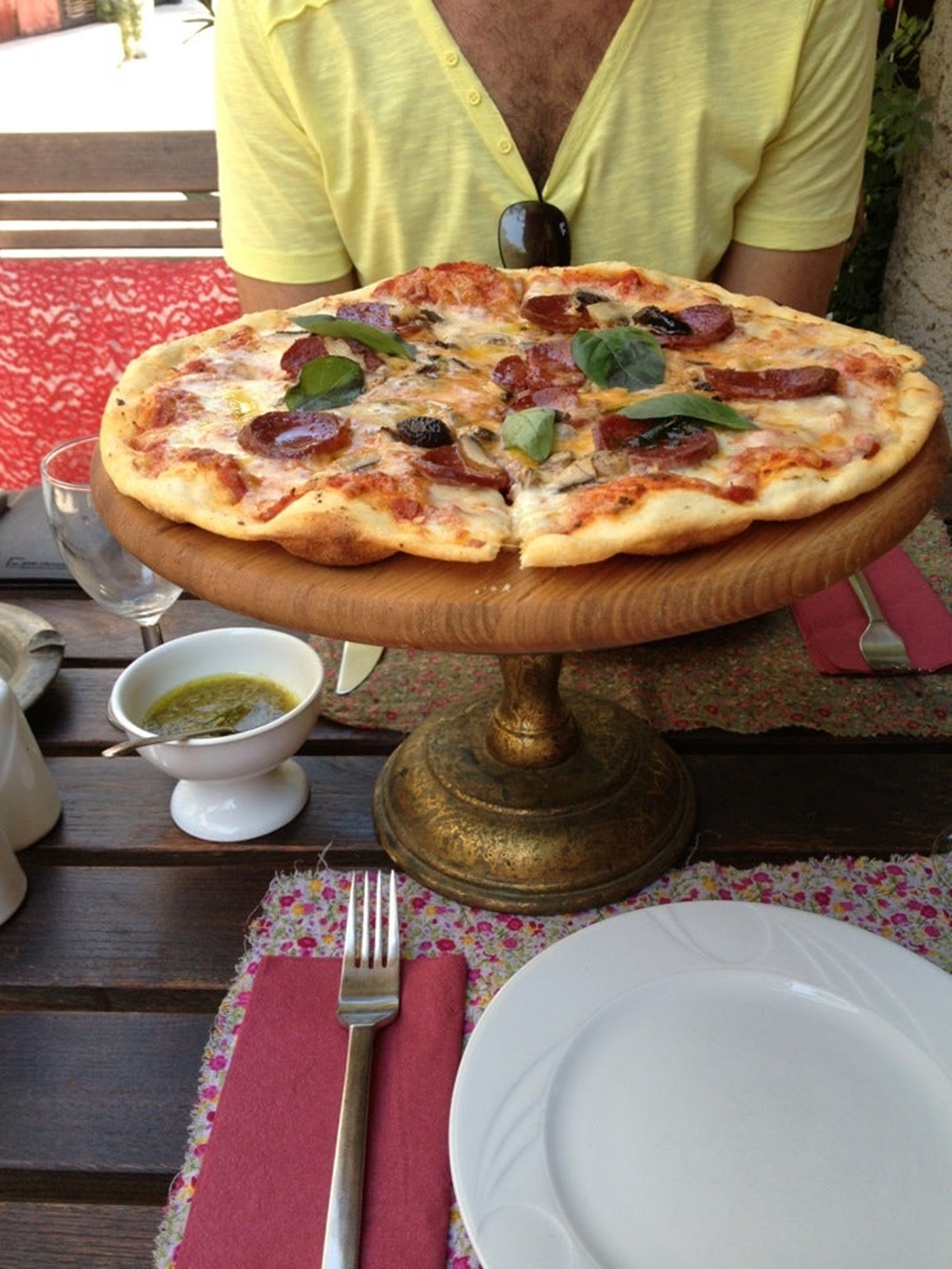 Kırmızı Ardıç Kuşu Fotoğrafları