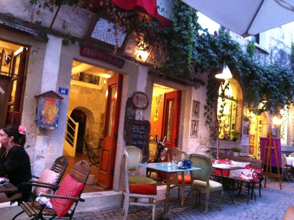 Kırmızı Ardıç Kuşu Fotoğrafları