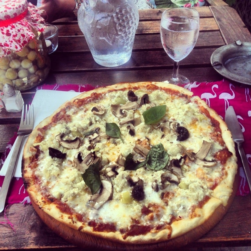 Kırmızı Ardıç Kuşu Fotoğrafları