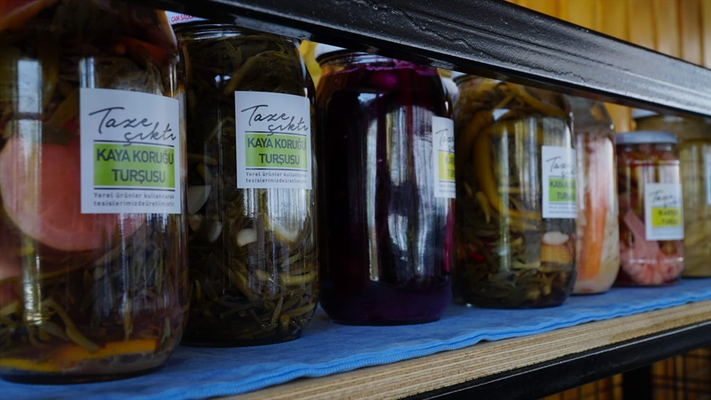 Maya Restaurant Fotoğrafları