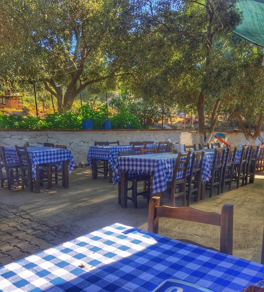 Tepe Kahve Fotoğrafları