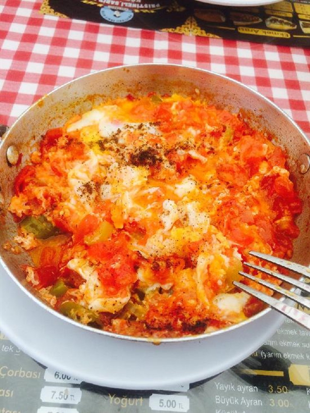 Melemenci Atom'un Yeri Fotoğrafları