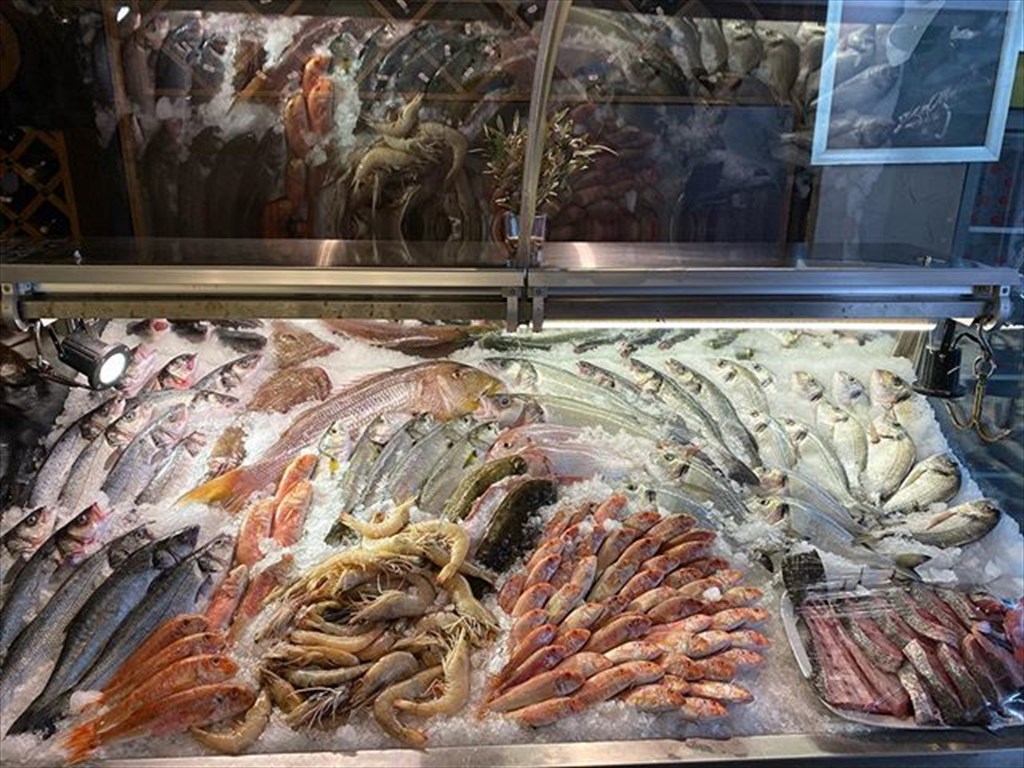 Ayvalık Balıkçısı Kerem Fotoğrafları