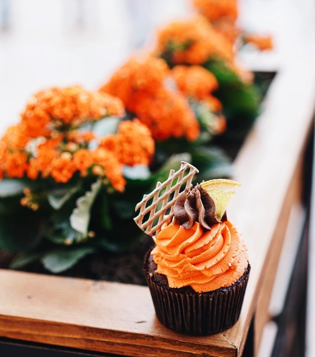 Cupncake Fotoğrafları