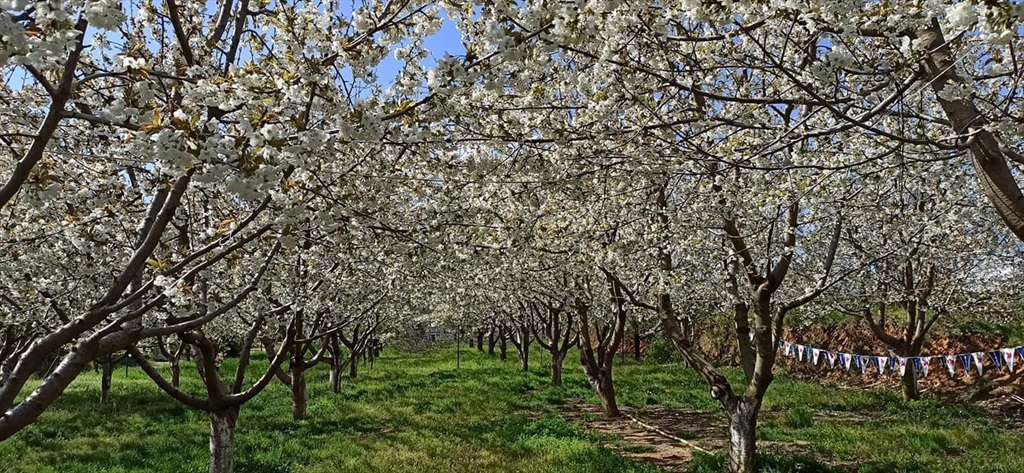 Yoldaşlar Restaurant Fotoğrafları
