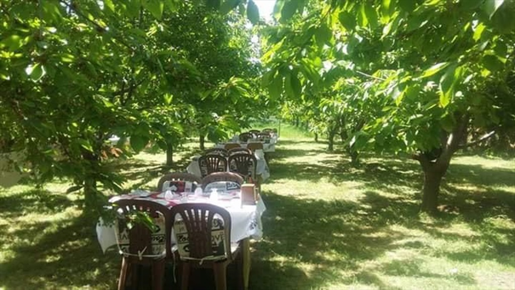 Yoldaşlar Restaurant Fotoğrafları