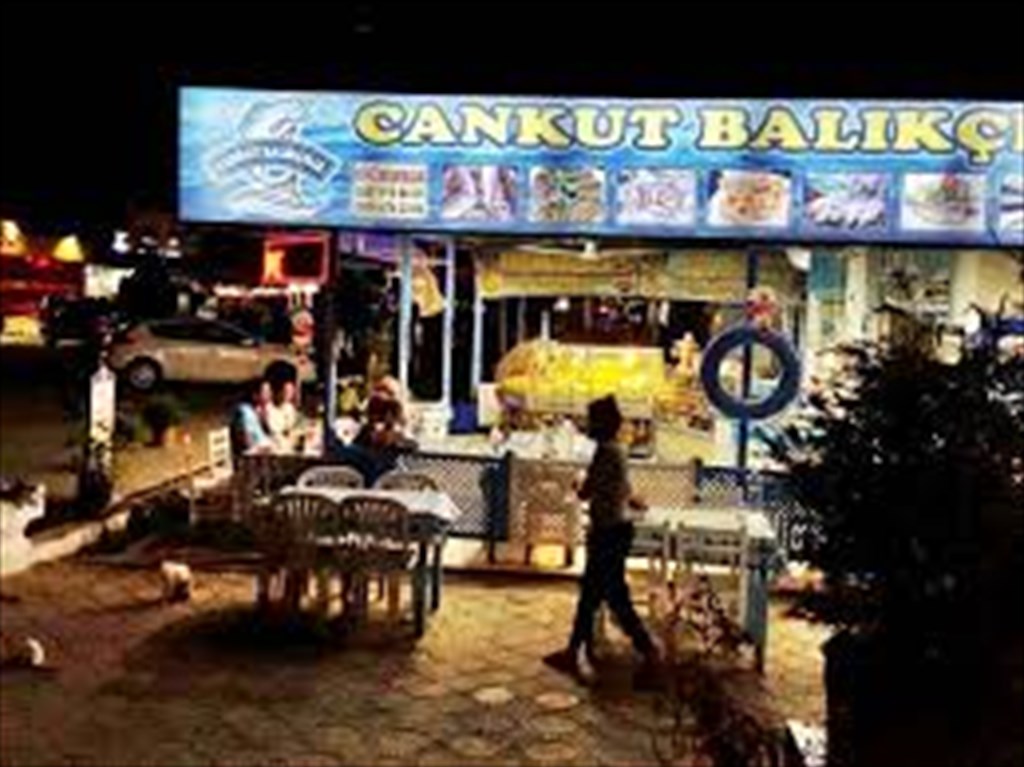 Cankut Balıkçılık Fotoğrafları