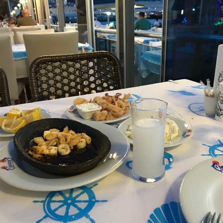 İskele Balık Fotoğrafları