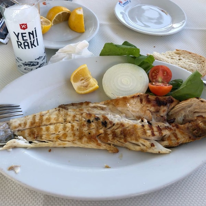 İskele Balık Fotoğrafları